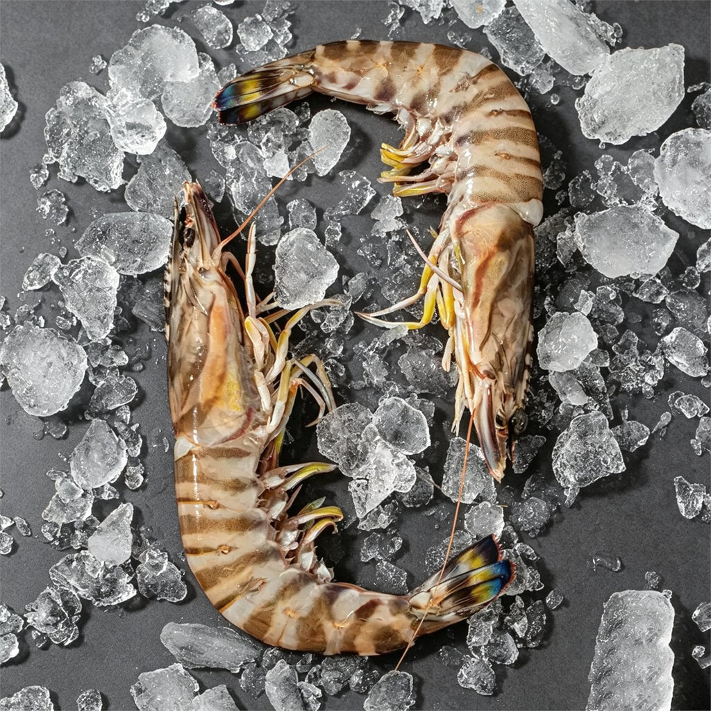 Frozen Raw Tiger Prawns