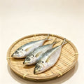Frozen Horse Mackerel
