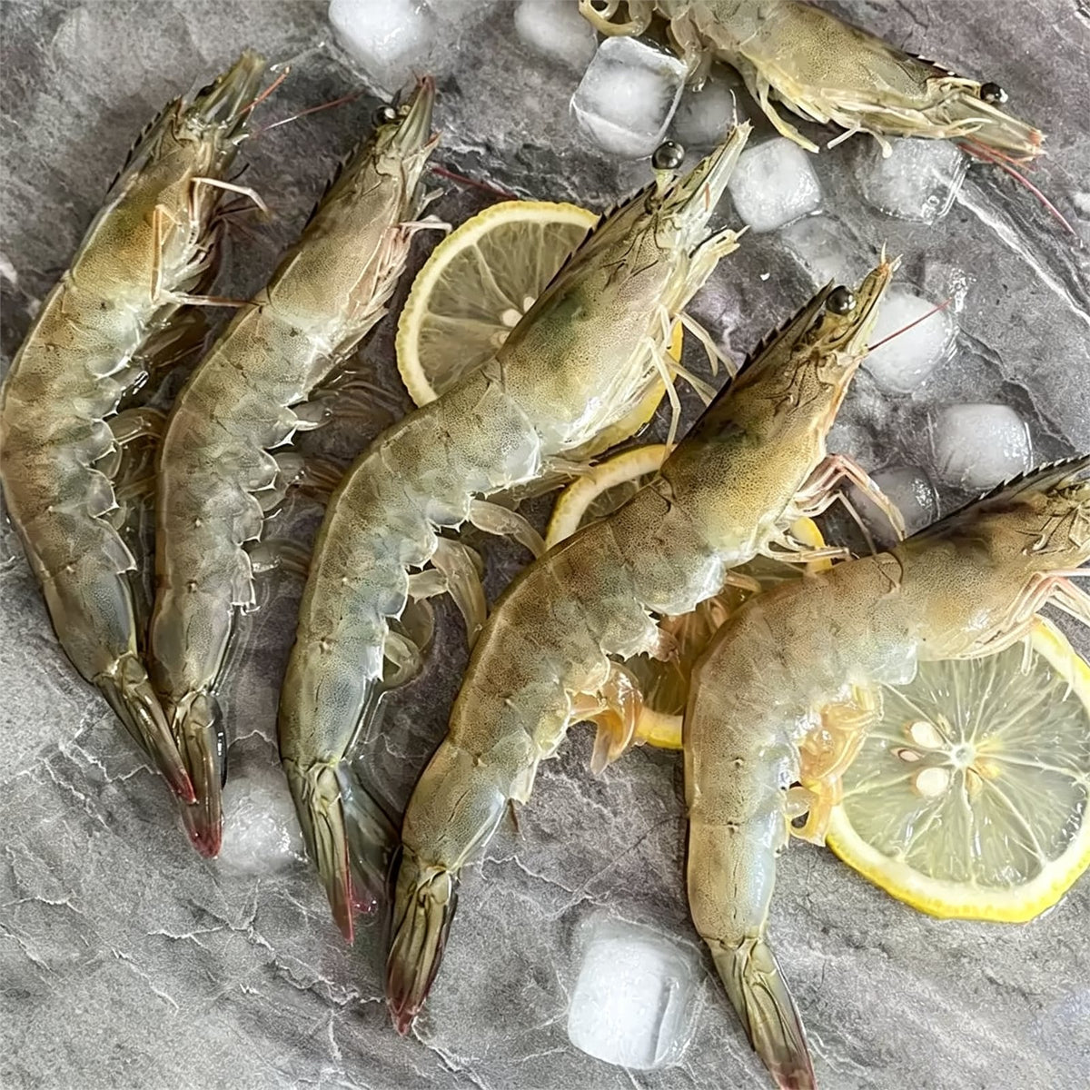 Frozen Whole Raw White Prawns