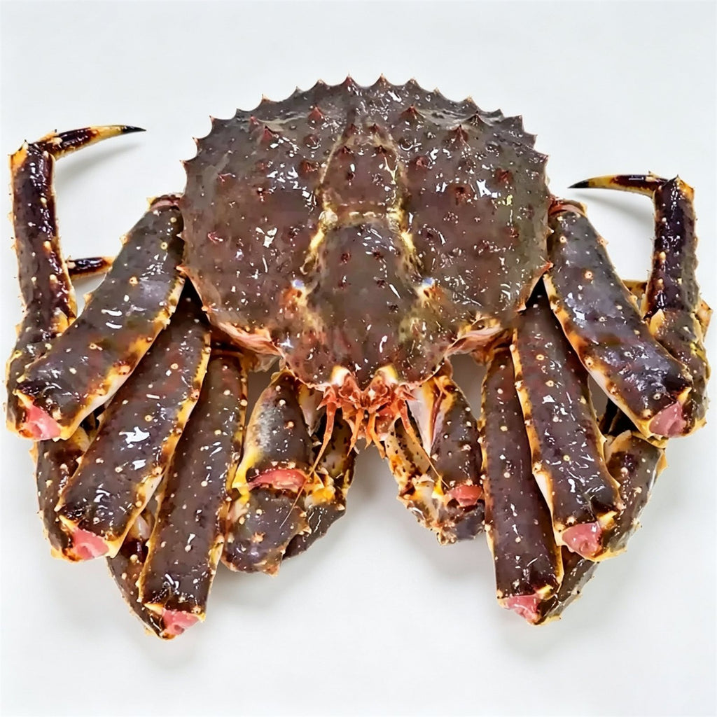 Live Giant King Crab