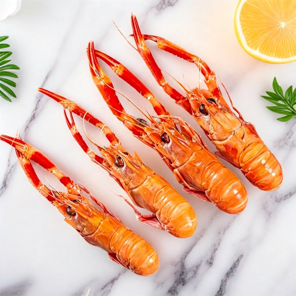 Frozen Wild Caught Scampi